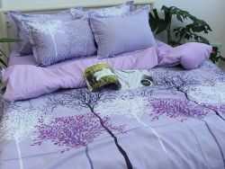 Комплект постільної білизни євро наволочки 50*70см Ранфорс R-T9246