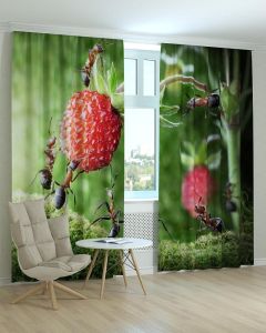 Фотоштори DECOLIV Дитячі Принт 01-035 Блекаут