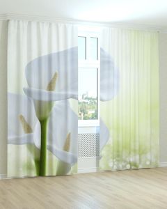 Фотоштори DECOLIV Квіти Принт 02-009