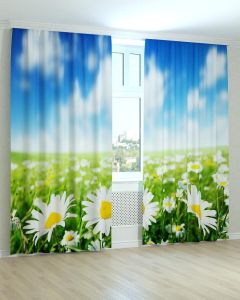 Фотоштори DECOLIV Квіти Принт 02-043