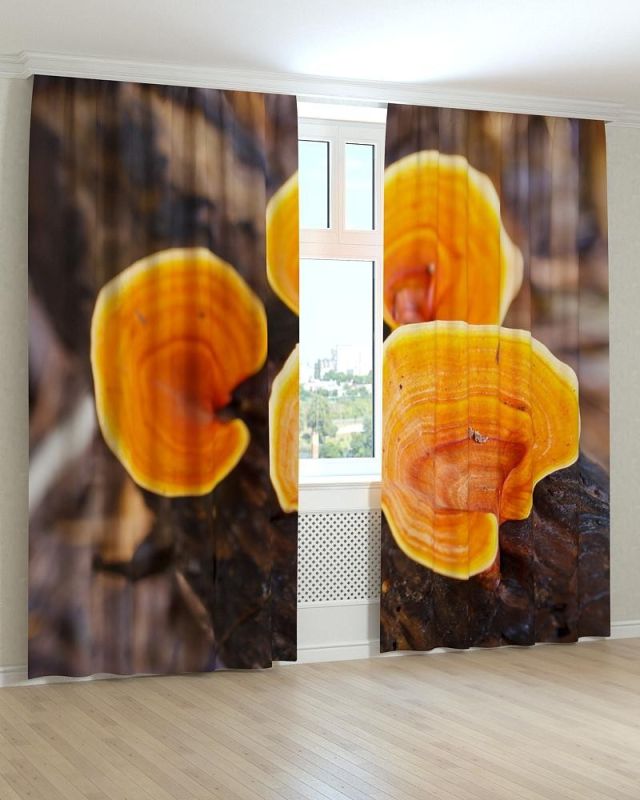 Фотоштори DECOLIV Квіти Принт 02-052 Блекаут