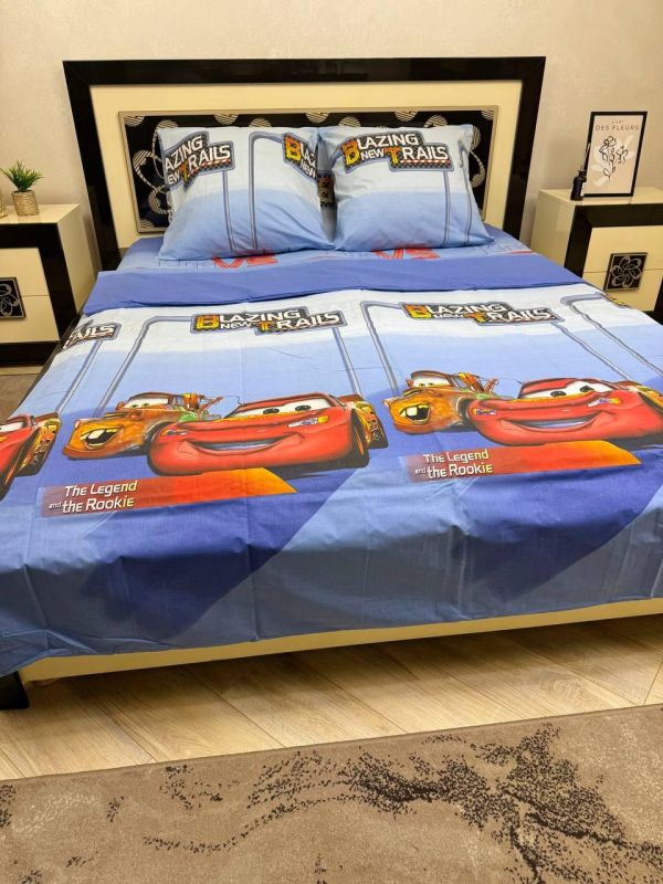 Комплект постільної білизни Премиум Q20-08 Бязь наволочки 70*70см