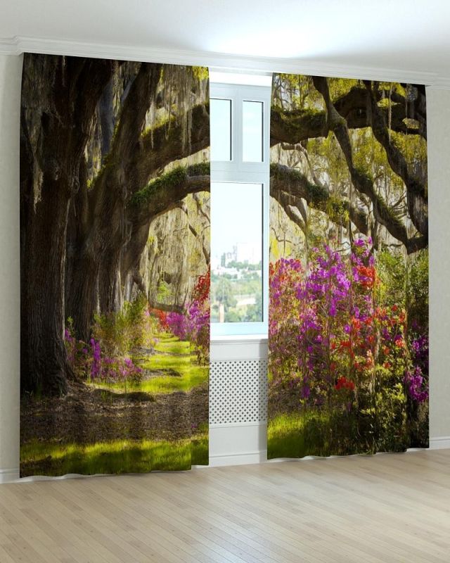 Фотоштори DECOLIV Пейзаж Принт 00-040 Блекаут