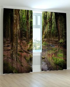 Фотоштори DECOLIV Пейзаж Принт 00-081