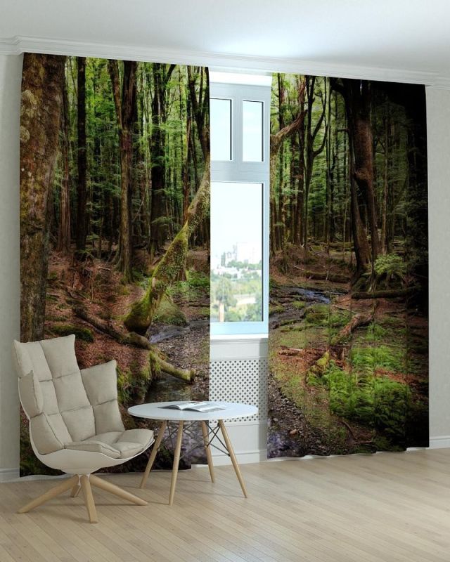 Фотоштори DECOLIV Пейзаж Принт 00-082 Блекаут