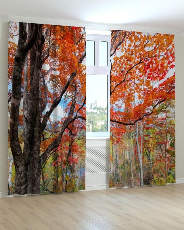 Фотоштори DECOLIV Пейзаж Принт 00-105 Тюль