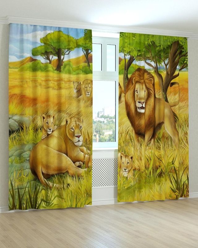 Фотоштори DECOLIV Дитячі Принт 01-026 Блекаут