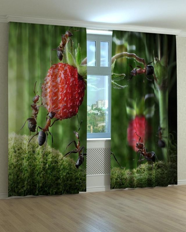 Фотоштори DECOLIV Квіти Принт 02-026 Тюль