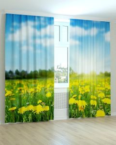 Фотоштори DECOLIV Квіти Принт 02-035 Тюль