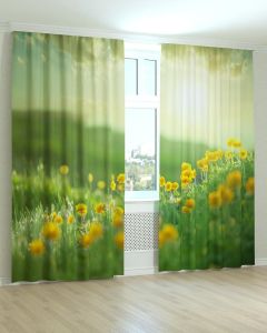 Фотоштори DECOLIV Квіти Принт 02-037 Тюль