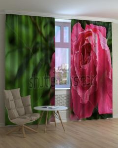 Фотоштори DECOLIV Квіти Принт 02-038