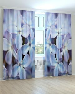 Фотоштори DECOLIV Квіти Принт 02-050