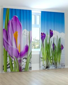 Фотоштори DECOLIV Квіти Принт 02-063