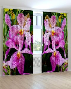 Фотоштори DECOLIV Квіти Принт 02-066