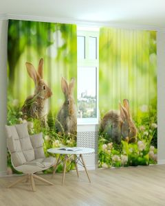 Фотоштори DECOLIV Тварини Принт 04-016