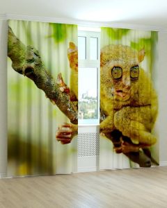 Фотоштори DECOLIV Тварини Принт 04-033