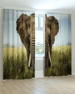 Фотоштори DECOLIV Тварини Принт 04-047 Тюль