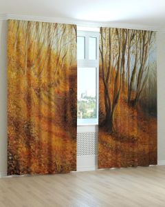 Фотоштори DECOLIV Абстракція Принт 07-104