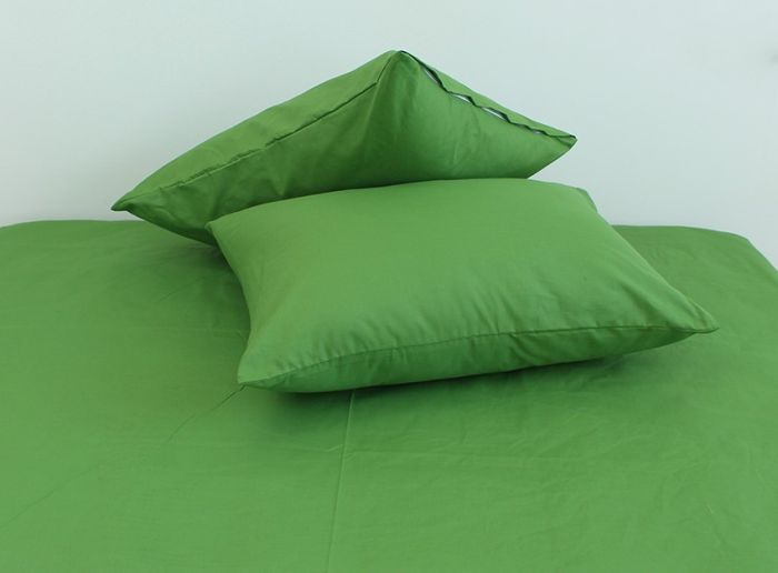 Комплект постільної білизни наволочки 50*70см Ранфорс Cactus