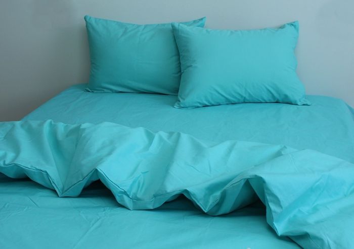 Комплект постільної білизни Ранфорс Mint Leaf 2