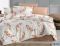 Комплект постільної білизни Ранфорс R-T9167