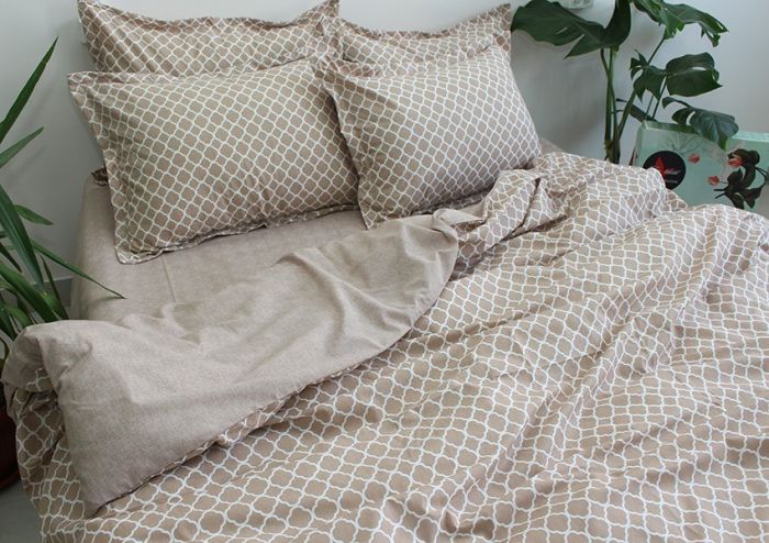 Комплект постільної білизни наволочки 50*70см Ранфорс R-T9257