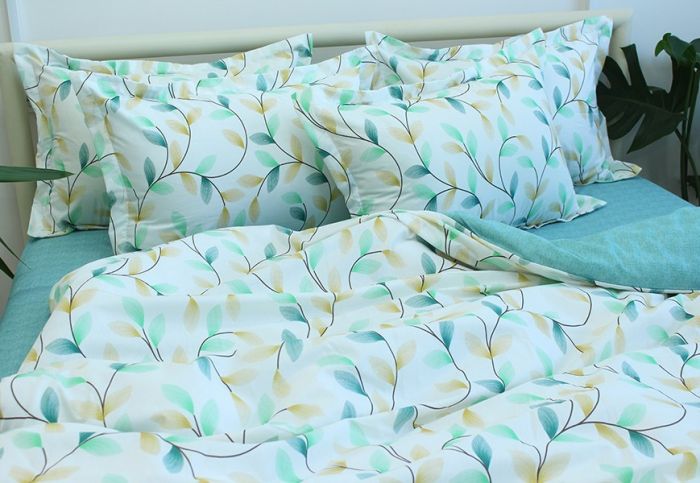 Комплект постільної білизни наволочки 50*70см Ранфорс R-T9262