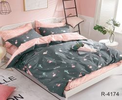 Комплект постільної білизни Ранфорс R4174