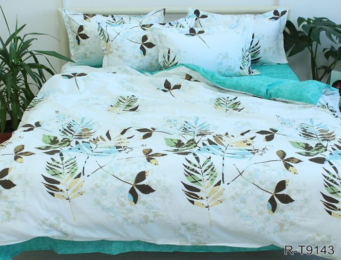 Комплект постільної білизни двоспальний Ранфорс R-T9143