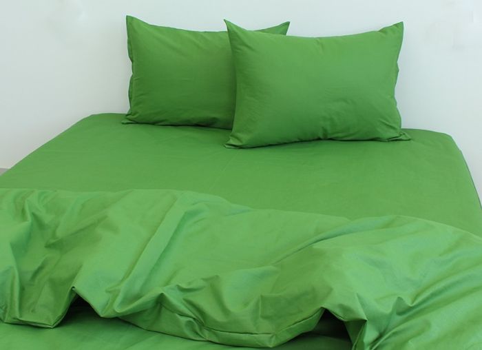 Комплект постільної білизни євро наволочки 50*70см Ранфорс Cactus