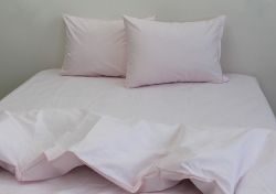 Комплект постільної білизни євро наволочки 50*70см Ранфорс Delicacy