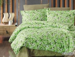 Комплект постільної білизни євро Ранфорс R-T9236
