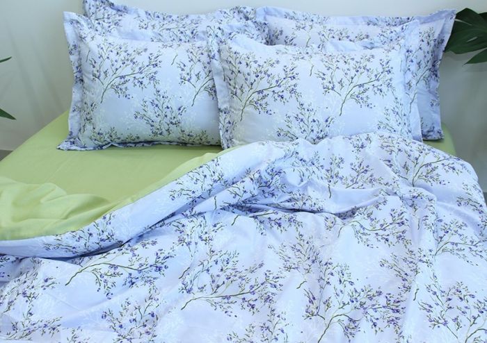 Комплект постільної білизни євро Ранфорс R-T9251