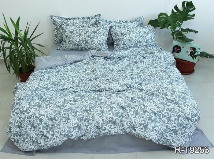 Комплект постільної білизни євро Ранфорс R-T9253