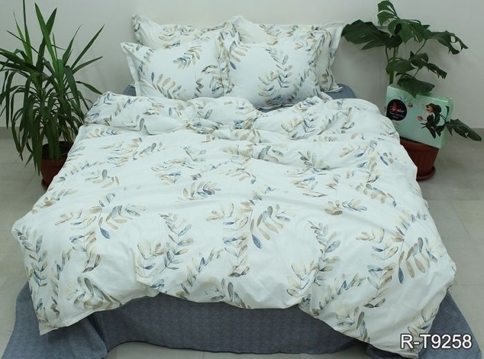 Комплект постільної білизни євро Ранфорс R-T9258
