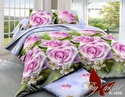 Комплект постільної білизни Ранфорс R1698/2