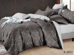 Комплект постільної білизни Ранфорс R-2853