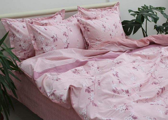 Комплект постільної білизни Ранфорс R-T9241