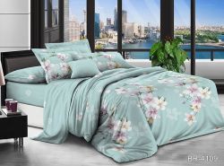 Комплект постільної білизни двоспальний Поликоттон BR-4109