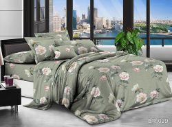 Комплект постільної білизни Поликоттон BR-029