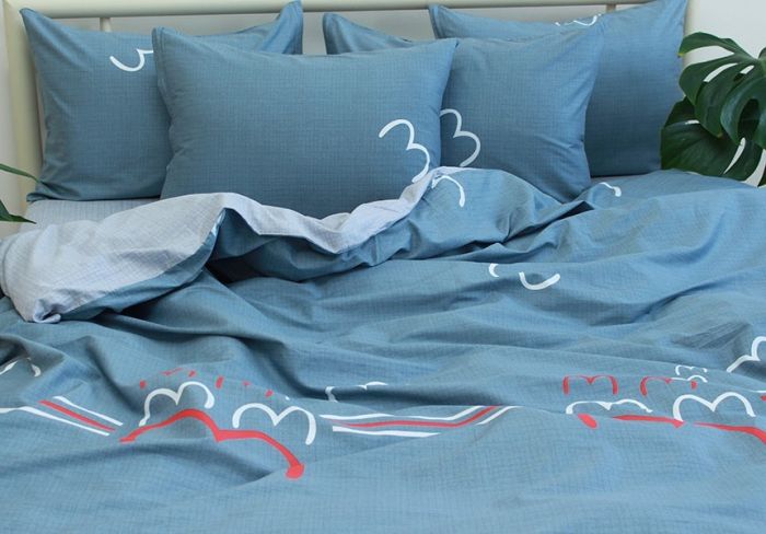 Комплект постільної білизни євро наволочки 50*70см Сатин S417