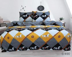 Комплект постільної білизни євро Сатин S490