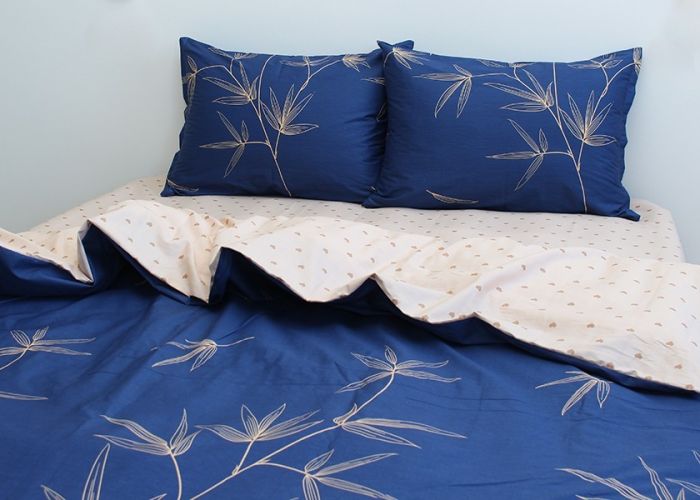 Комплект постільної білизни євро наволочки 50*70см Сатин S493