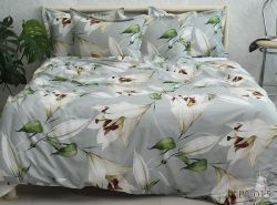 Комплект постільної білизни євро наволочки 50*70см Сатин Премиум PT-015