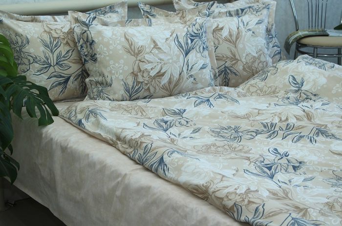 Комплект постільної білизни Ранфорс R-T9267