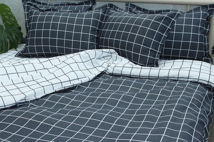 Комплект постільної білизни євро Ранфорс R-T9266