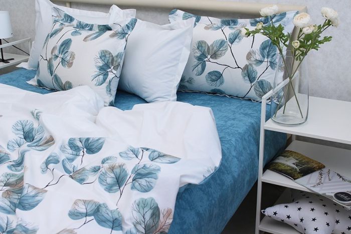 Комплект постільної білизни Ранфорс R-T9269