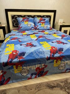 Комплект постільної білизни Премиум 01-02 Бязь наволочки 50*70см