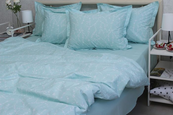 Комплект постільної білизни наволочки 50*70см TURKISH COTTON PT-R13