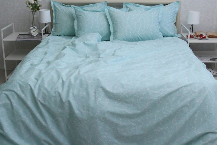 Комплект постільної білизни двоспальний наволочки 70*70см TURKISH COTTON PT-R13